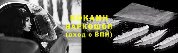 гашик Алексеевка