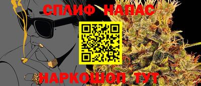 сатива Ирбит