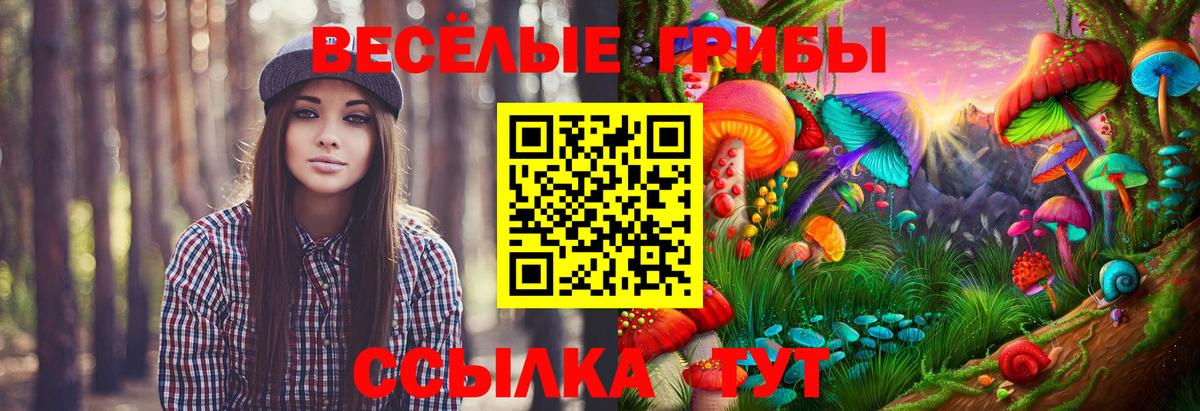 Михайловск  Псилоцибиновые грибы GOLDEN TEACHER  Вход с VPN 