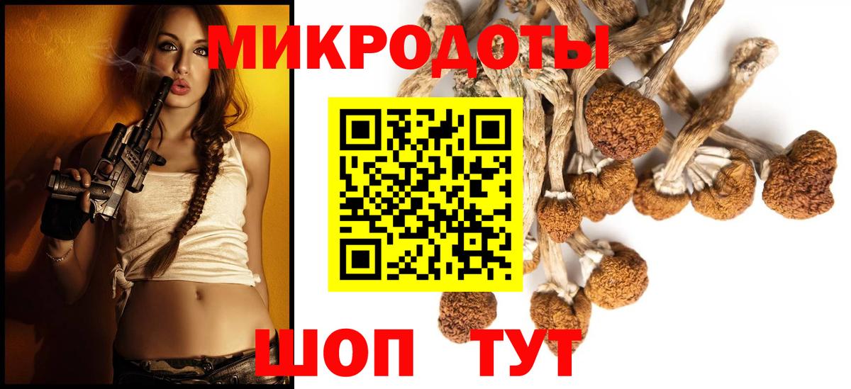Псилоцибиновые грибы Cubensis Михайловск